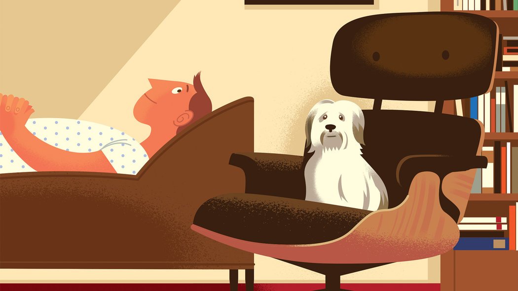 NYTHealth's tweet photo. Therapy dogs are often described as better than any medicine https://t.co/xbmZqGHxKN https://t.co/uJYsWX18gP