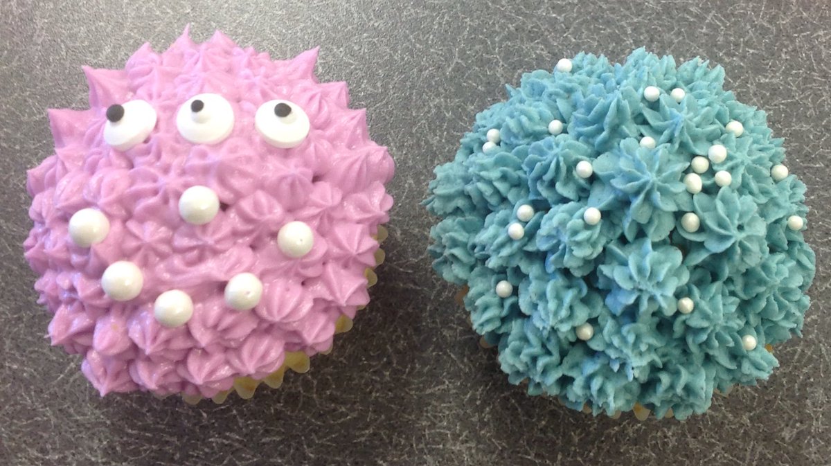 Mrs. Shannon Jacobs tweet media