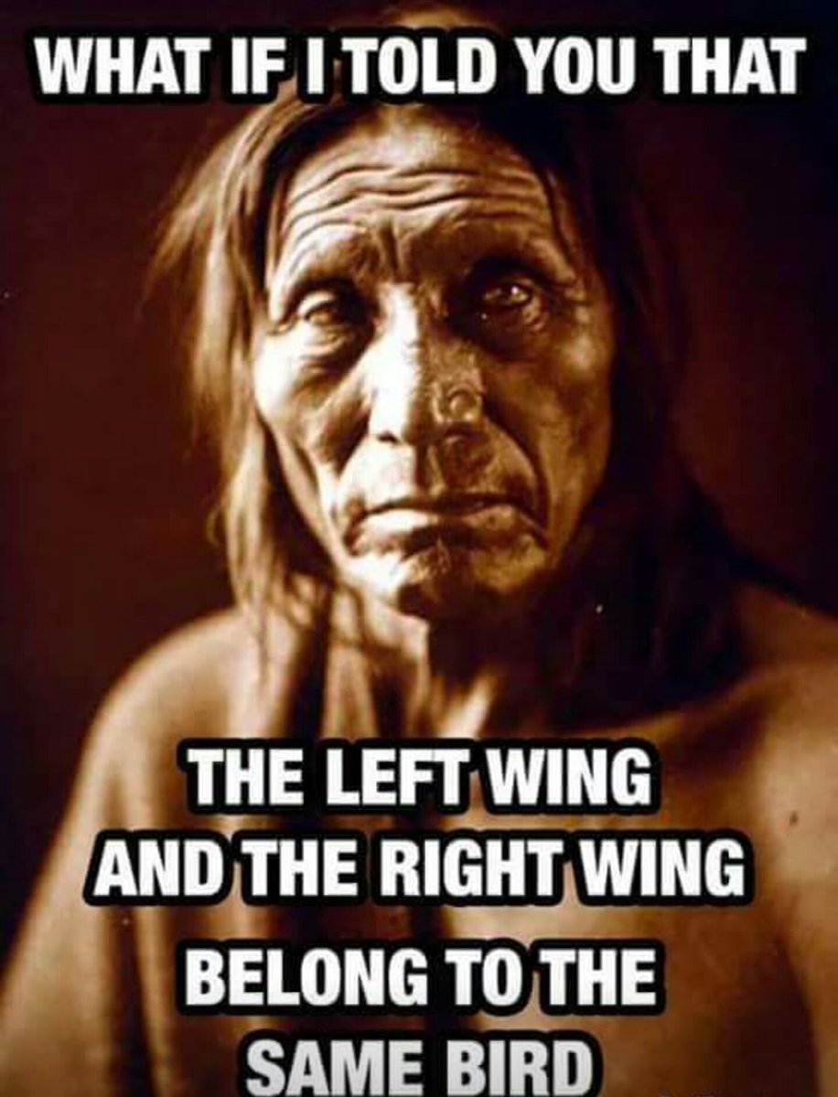 evolveraoul's tweet image. My view on politics!!!