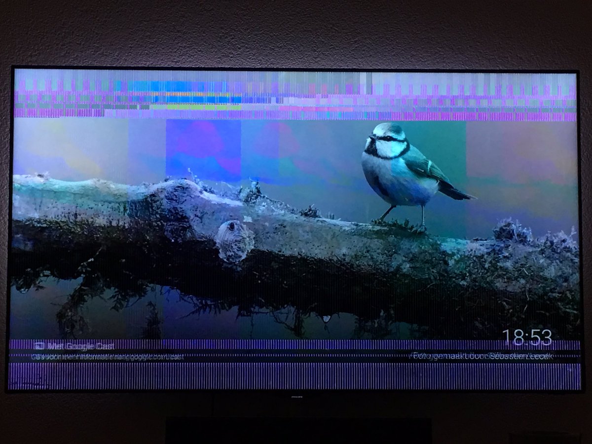 DJYorit's tweet photo. @PhilipsCare_NL ben eigenlijk helemaal niet zo tevreden met mijn 4k tv. Na lang wachten eindelijk shield, werkt ruk https://t.co/JnEgYi1iTq