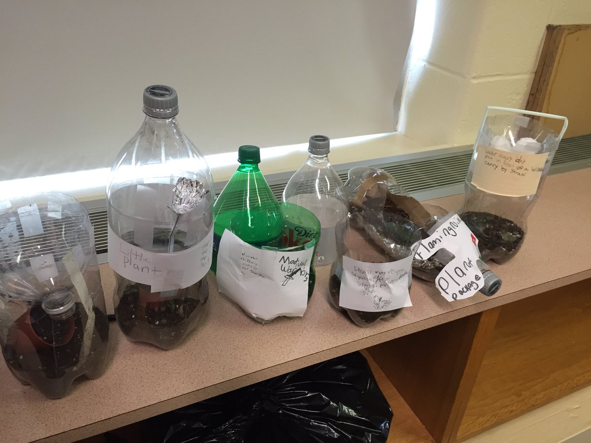 ShowalterClass's tweet photo. Mrs. Cabezas' 3rd grade built their plant packages today! #STEM #EiE #packagingengineers https://t.co/rh6HwKQHOS