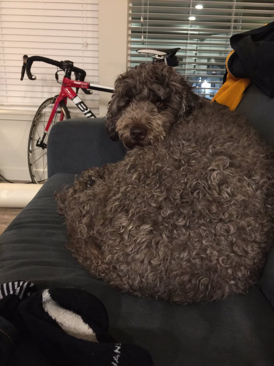 RudyDoodle's tweet photo. The Oscars were boring. https://t.co/nJZrbmBfAl
