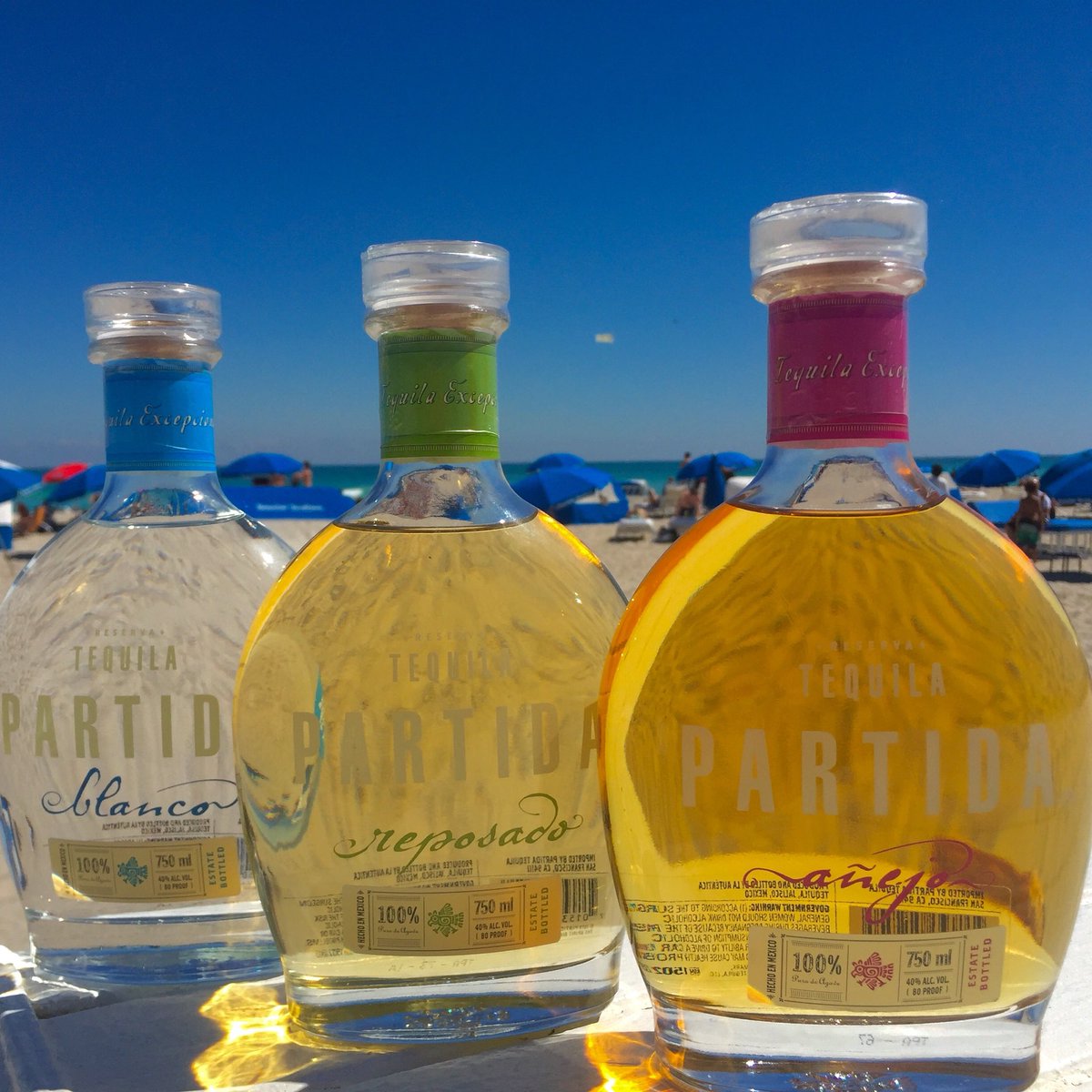 Thank you #sobewff2016 we don't want to leave! ☀️ #southbeach