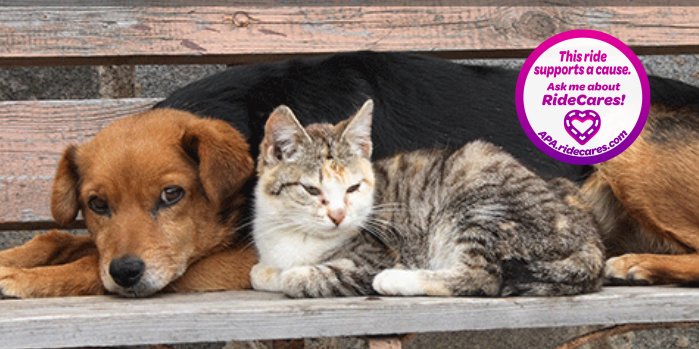 Counting down to <a href="/AmplifyATX/">Amplify Austin</a> <a href="/austinpetsalive/">Austin Pets Alive!</a> won Lyft+Uber passenger donation vote <a href="/ILH_IGH/">I Live Here I Give Here</a> ridecares.com/cause/austinpe…