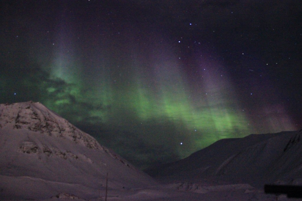 Still amazed by this stunning spectacle in the sky of #Svalbard.  #northernlights #GreenlandFjords