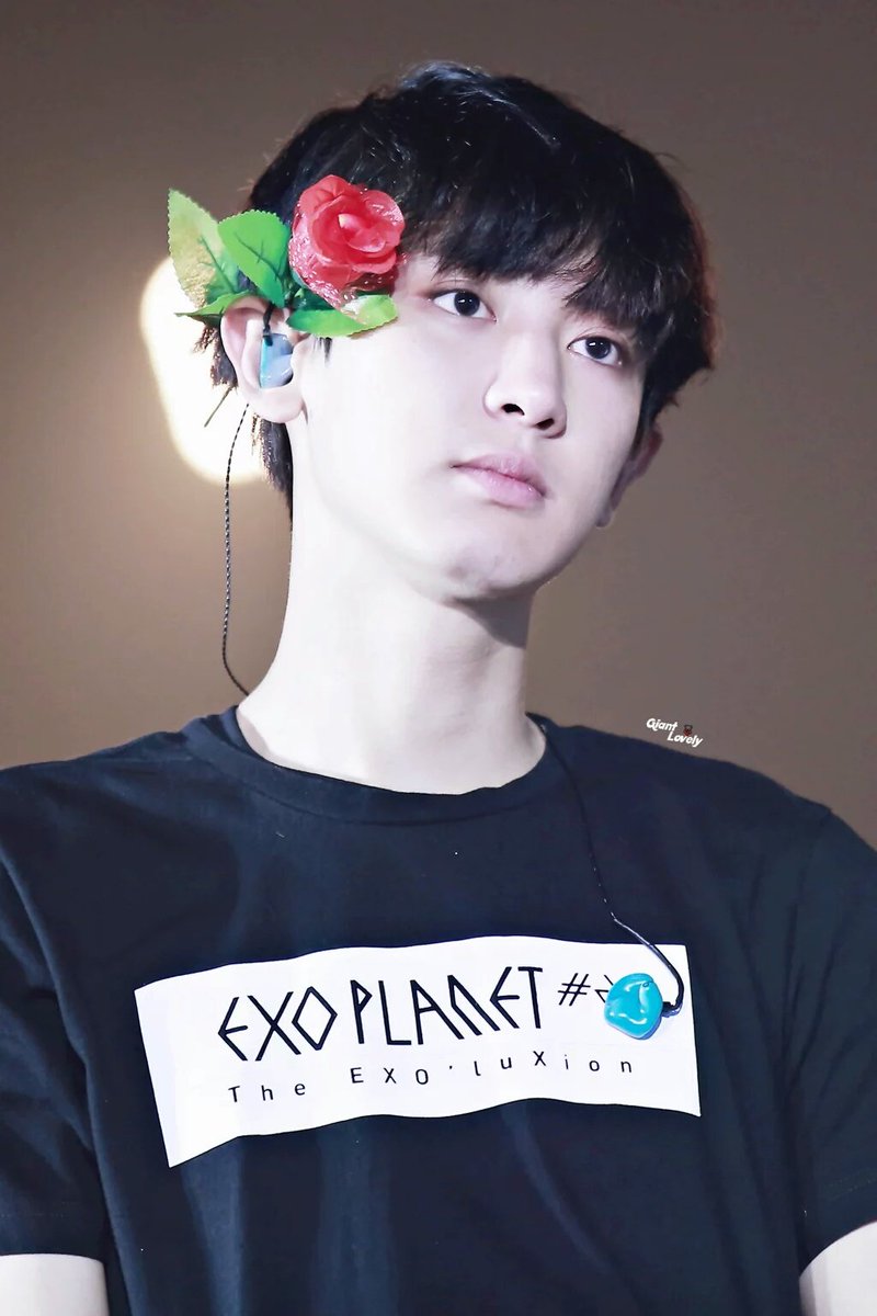 amyours__'s tweet photo. [HQ] 150816 #CHANYEOL #찬열  at EXOluXion in Hongkong
Cr.GIANT LOVELY https://t.co/RuxfMFoxxw