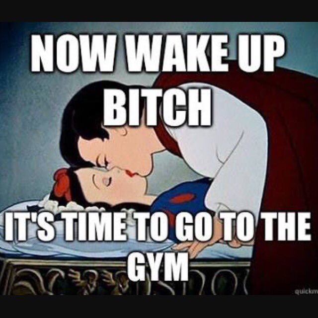 cindylaregia's tweet photo. Disney no tiene princesas gordas, perra... MOVE THAT FAT ASS NOW! 🏋 https://t.co/hOrkwr8HqW