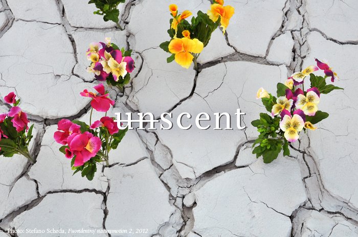 sandrinabambina's tweet photo. New fragrant gathering in Milan, at #Unscent #IntertradeGroup #fragrance artistic exhibition https://t.co/LBPzjOAzOF https://t.co/E1ezHUciZX