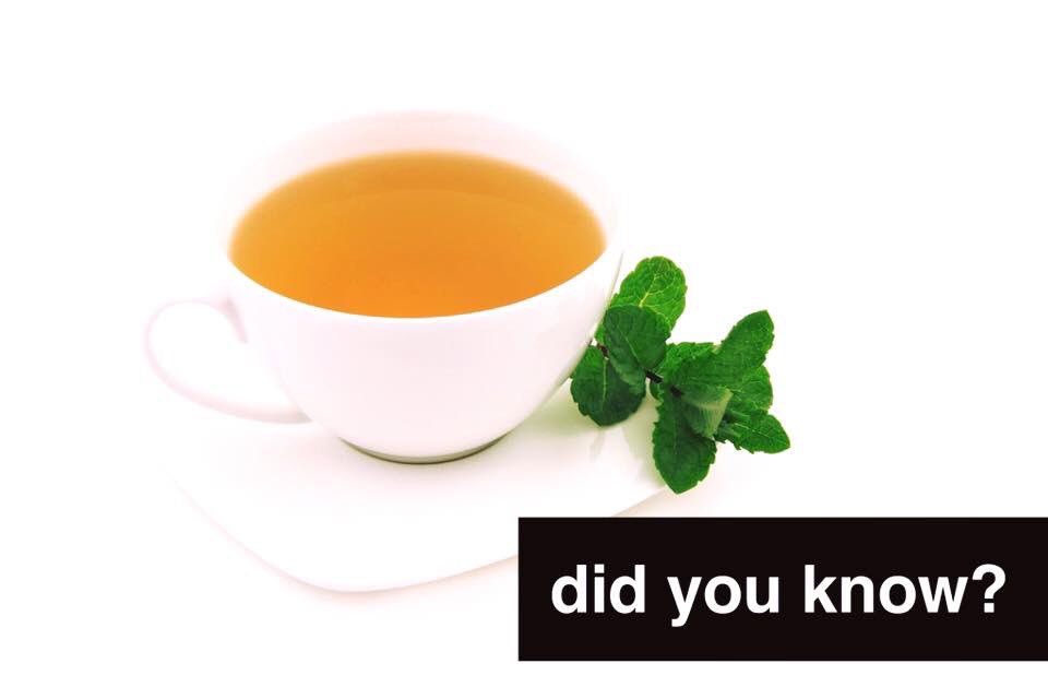 HungerShield's tweet photo. Did you know? Loose tea leaves contain more fat-burning antioxidants than commercial brand tea bags. #healthtips https://t.co/afY5ZwLUgA