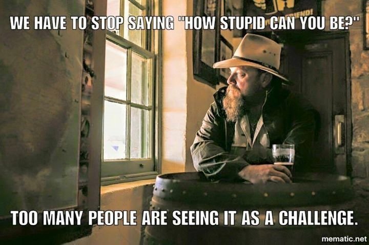 kittytwidle's tweet photo. #stupidpeople #silly https://t.co/Wrhlo6JLV5