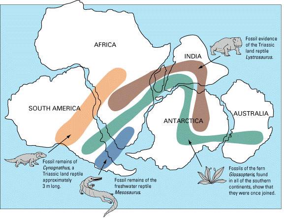 OERProject's tweet photo. Show students how a hypothesis turns into an accepted theory with this investigation: https://t.co/wyBdETRThT #PBL https://t.co/ZiZsqhkb33
