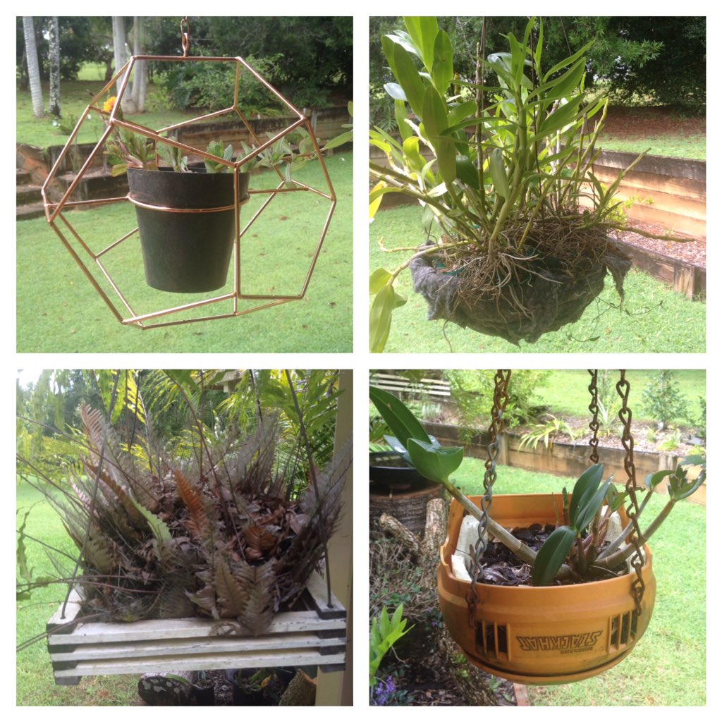 liam_renton's tweet photo. Check out the lovely array of various hanging planter pots as seen around my parents house #stackhat #timeforatidyup https://t.co/3RowG9c7zR