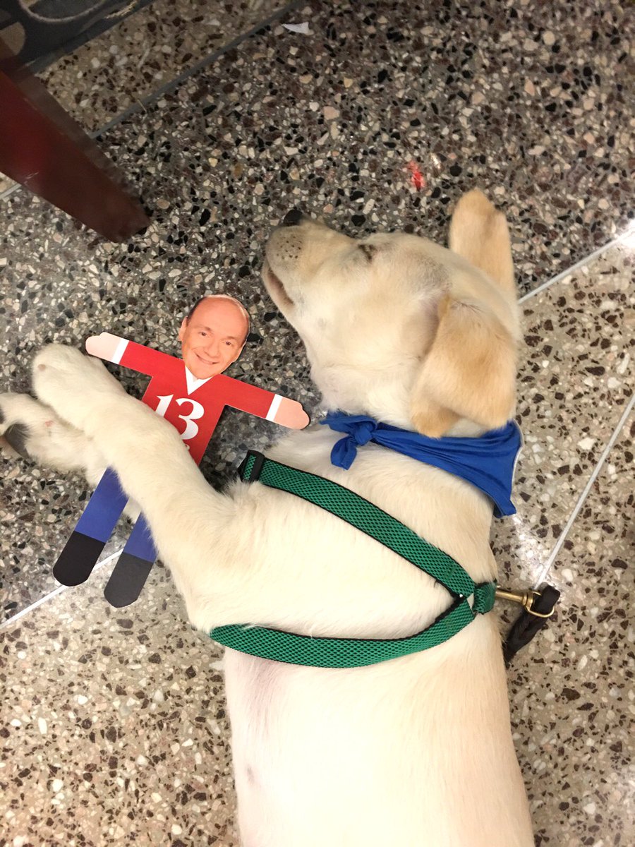 williamsrxphoto's tweet photo. @ChuckWTHR @ICANdogs A very sleepy Obi snuggles with his #flatchuck https://t.co/r7gPOh0xYH