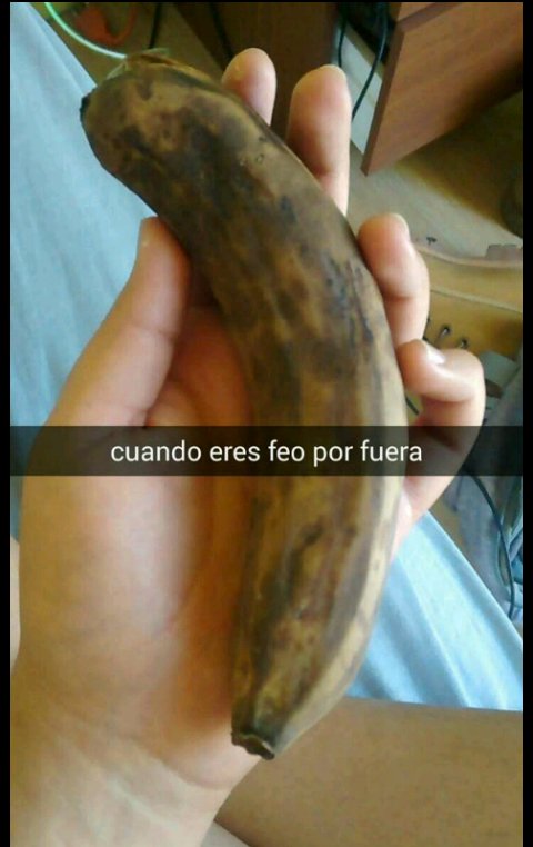 Yosse_JB's tweet photo. Jajajajajajajajaj https://t.co/pBLMgkgRjH