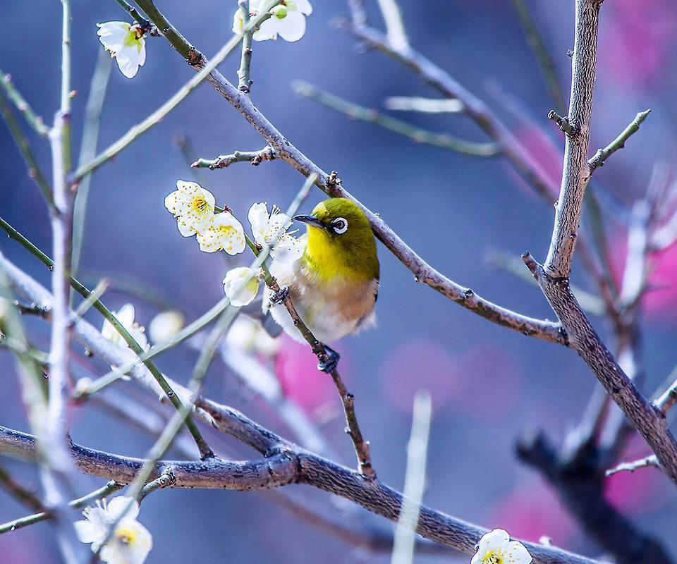 Laycee17's tweet image. Spring is almost here