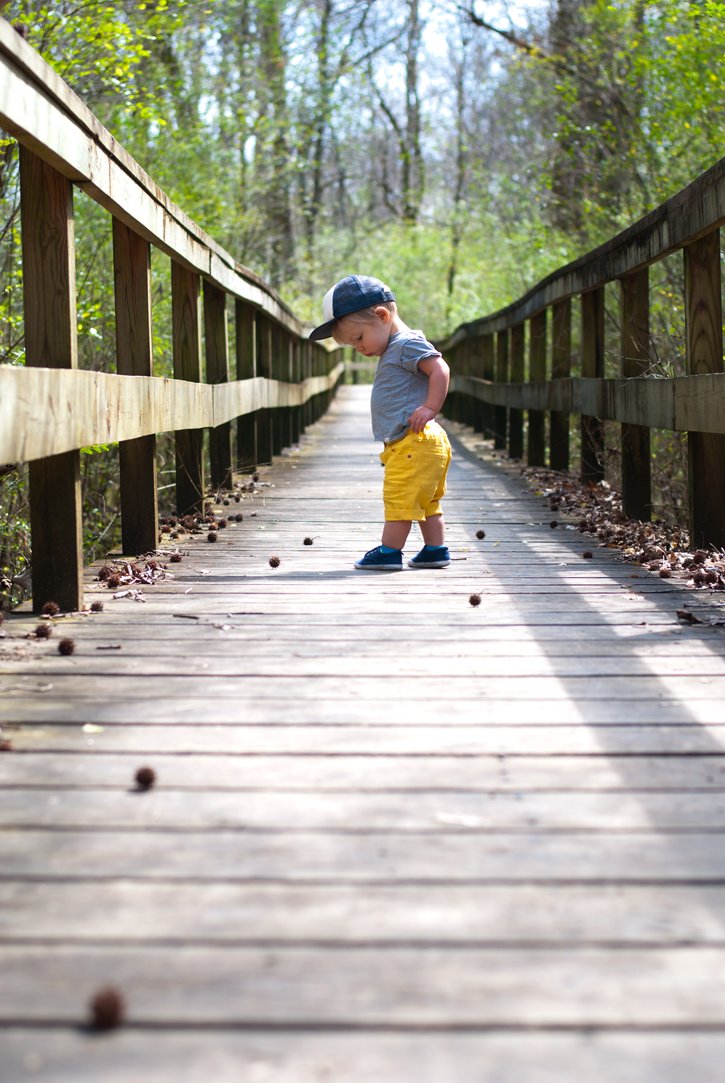 amynhickman's tweet photo. Nature Walk on the Natchez https://t.co/vt88pJsgyv https://t.co/1m58jZacaf