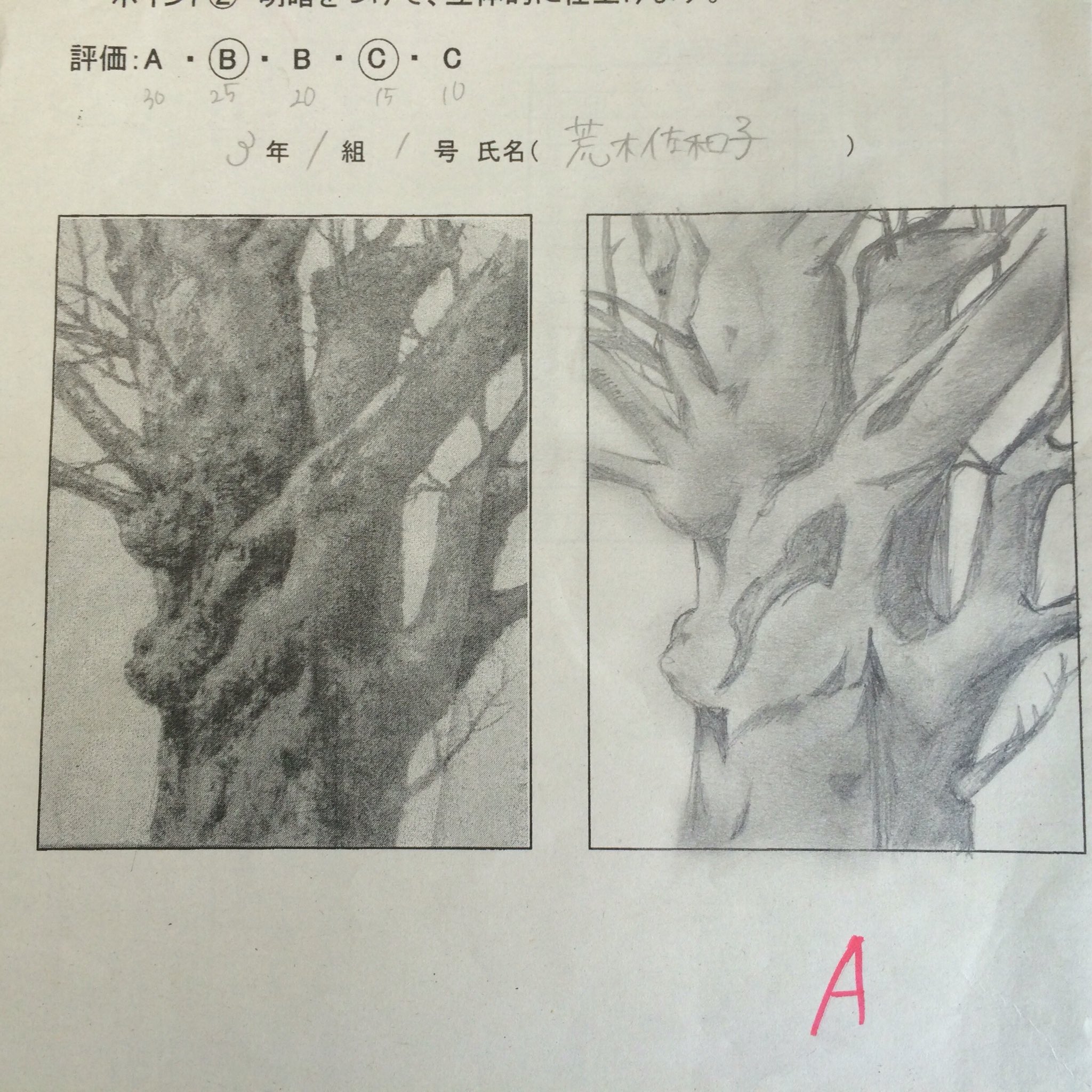 あらきさわこ 中学の頃の美術のテストの模写 我ながら上手いと思うｗｗｗ T Co Q2valkfact Twitter