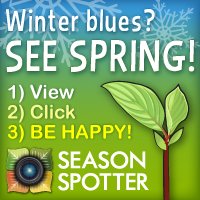 PBudBurst's tweet photo. .@seasonspotter launches #SpringSSchallenge! #phenology https://t.co/tszbx4jM0e https://t.co/cO8yeETMbh