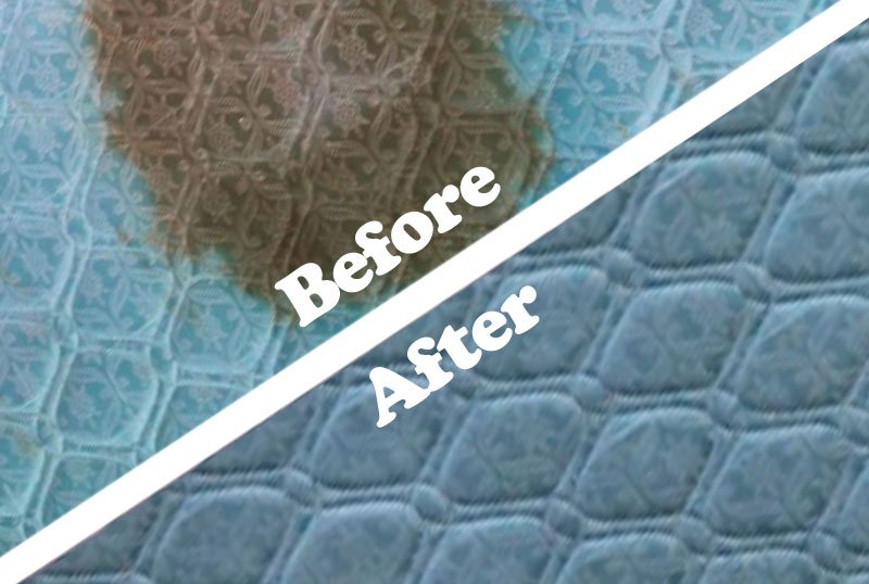 CleanSleepCo's tweet image. Have a gnarly stain on your mattress?
We got you. 💪
buff.ly/1QBRkuP