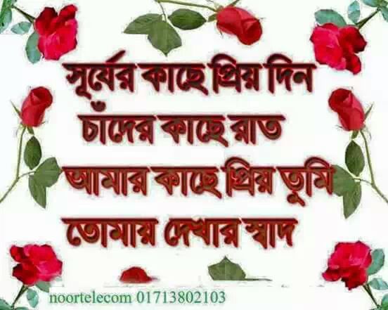 M I A Mirza (@miamirza4) on Twitter photo 