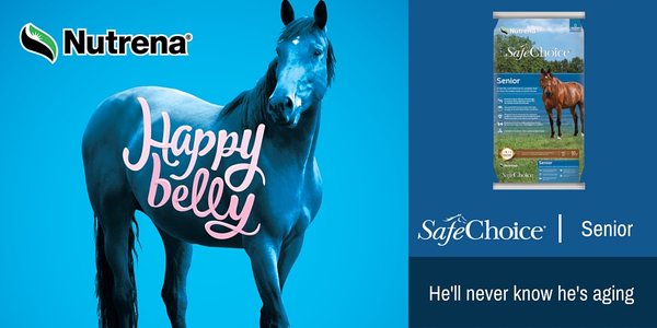 CALRanch's tweet photo. A Happy Belly is a Happy Horse! Do you have a senior horse? #NutrenaFeed #SafeChoiceSenior https://t.co/WzwGJfds4r https://t.co/ZSc1WNTGMt