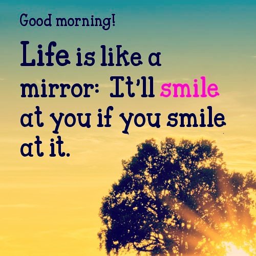 aMinoruKondo's tweet image. Mari kita mulai Menabung dengan  CERDAS 

tinyurl.com/3iFullPresenta…

WhatsApp 081233777848