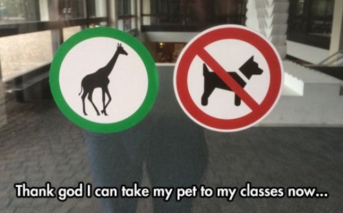 StickerYou's tweet photo. Sometimes its fun to just carry around these stickers and stick them up to "No Pets" decals. #stickerprank https://t.co/SPODzGj8xT