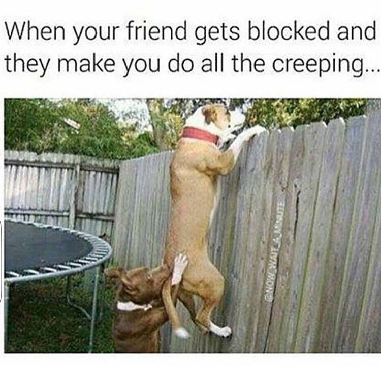 WORLDSTAR's tweet image. 