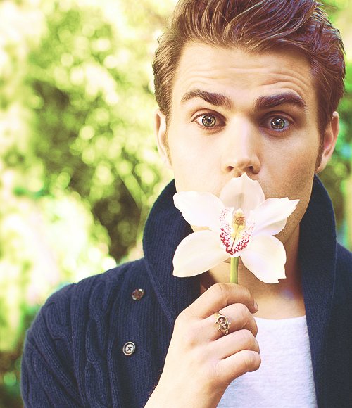 _maribelsz's tweet photo. ESSE HOMEM NÃO TEM DEFEITOS 
We Are Proud Of Paul Wesley https://t.co/VzNJIAv8wZ