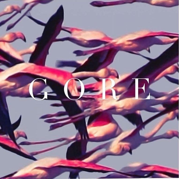 I am so stoked to have been a part of the new album “Gore” by <a href="/deftonesband/">Deftones1</a> produced by my… ift.tt/21Eg5KD