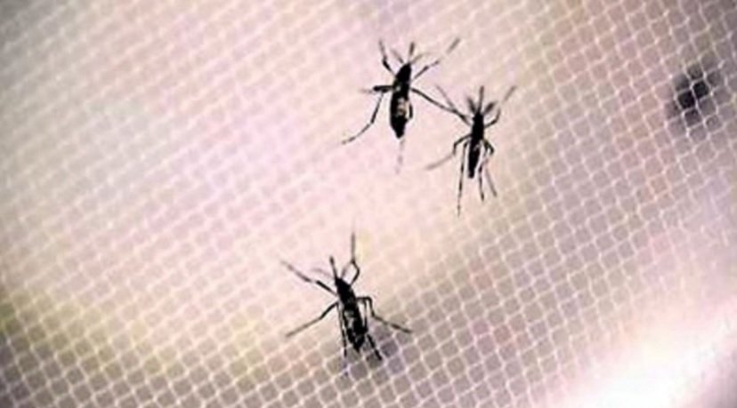 #BREAKING 4 new #Zika cases confirmed in Miami-Dade County bit.ly/1ncKsbA?utm_me… https://t.co/jQ89KzrpwF