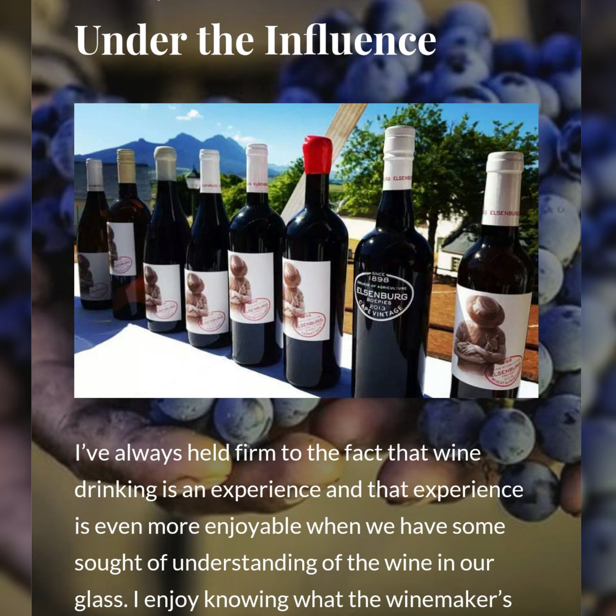 thewinemusings.wordpress.com/2016/02/29/und… Follow the Link! New on The Wine Musings Blog! Under the Influence #Wine #WineAppreciation
