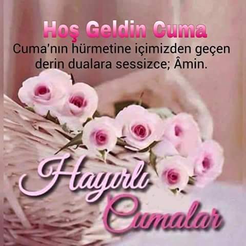 Elif Günseven tweet media