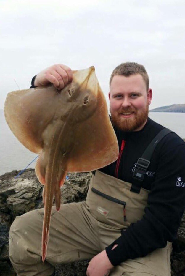 SpeciesHuntUK on Twitter: