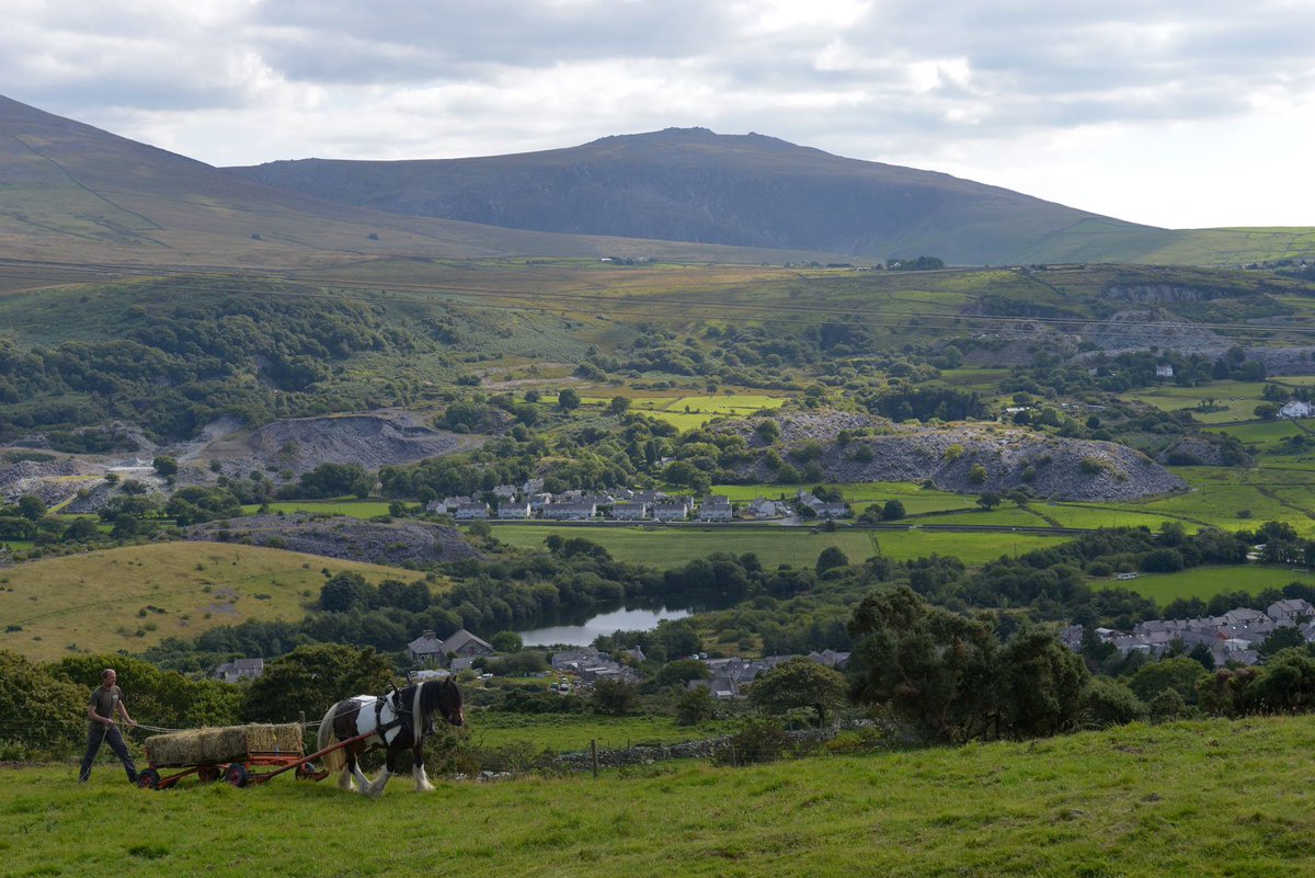 boomcymru's tweet photo. Ceffylau gwaith sydd dan sylw heno am 8.25 | Tonight's programme looks at Horses at work at 8.25 @S4C #ceffylaucymru https://t.co/rQHS251v96