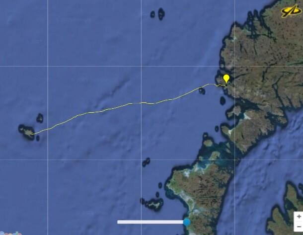 TheSt.KildaSwim tweet media