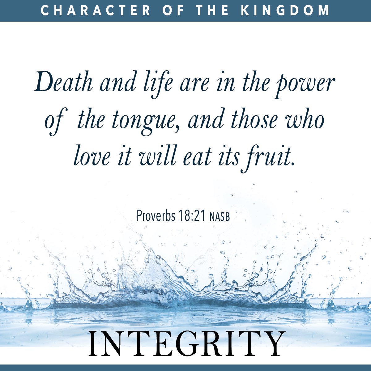 It's out tomorrow! store.burn24-7.com/collections/fr…