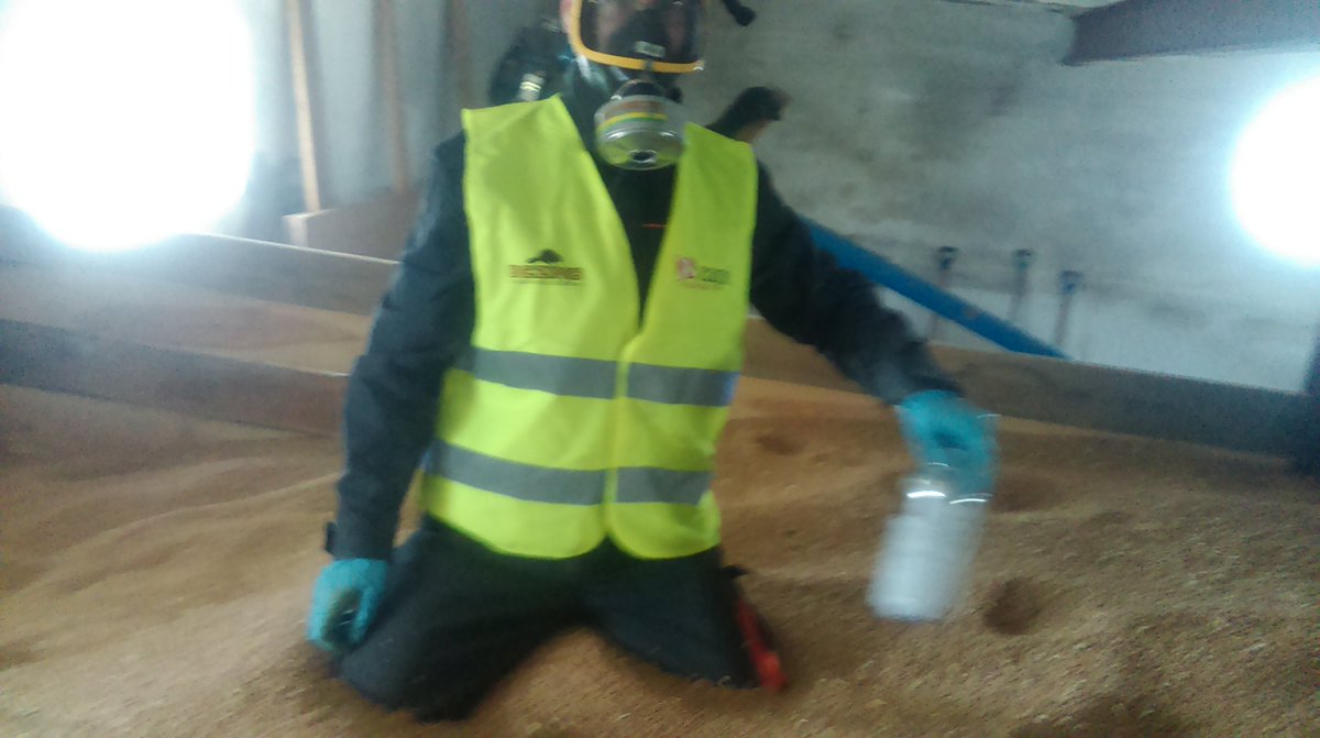 Grain #Fumigations, part 1
deratyzacjabydgoszcz.mrowa.com.pl/2015/08/gazowa…
#blog #blogger #pestControl #pests