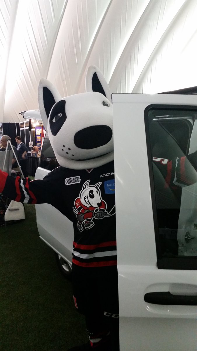 SprinterNiagara's tweet image. We had a visitor at the #Niagaragolfshow @OHLIceDogs