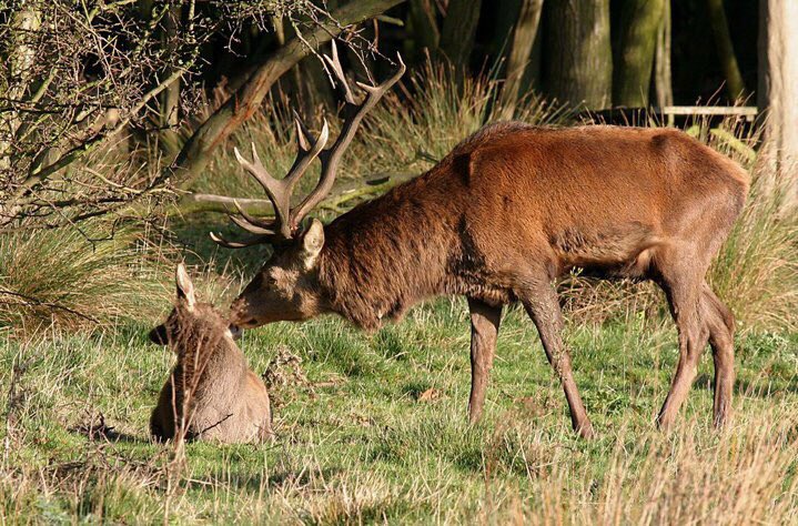NinaStobart's tweet photo. My pic from NLincs @turnstilesuk1 @LincsHour #linshour https://t.co/073qdloaxu