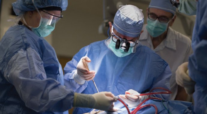 CleClinicMD's tweet photo. Bypassing damaged nerve w/ an auditory brainstem implant improves hearing outcomes https://t.co/2pQCGwe9pO https://t.co/LkuTOxzw8T