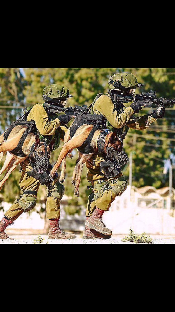 LoyalDistrust's tweet image. #bestccw #bestfriend #neverrunoutofammo #dogup #newweapon