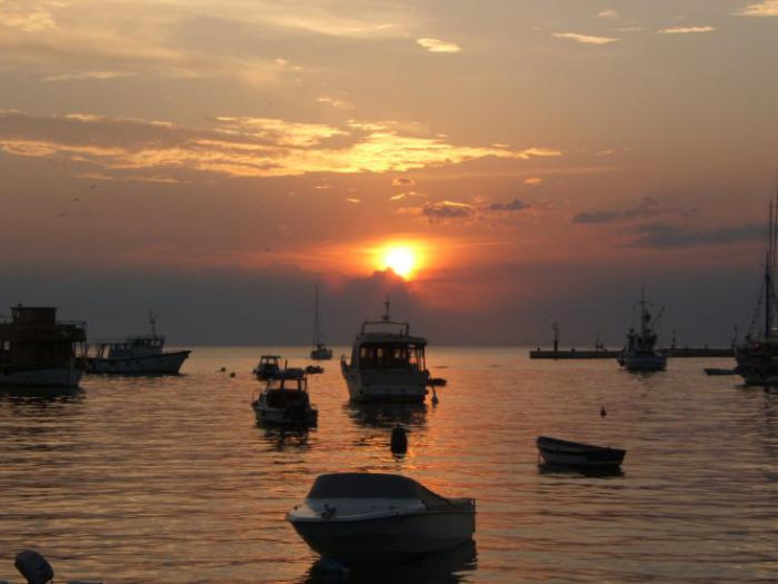 TripTroupe's tweet photo. Bah?a al atardecer - #Rovinj #Croacia https://t.co/WOmQcH3pnU https://t.co/6hceQ3JViQ