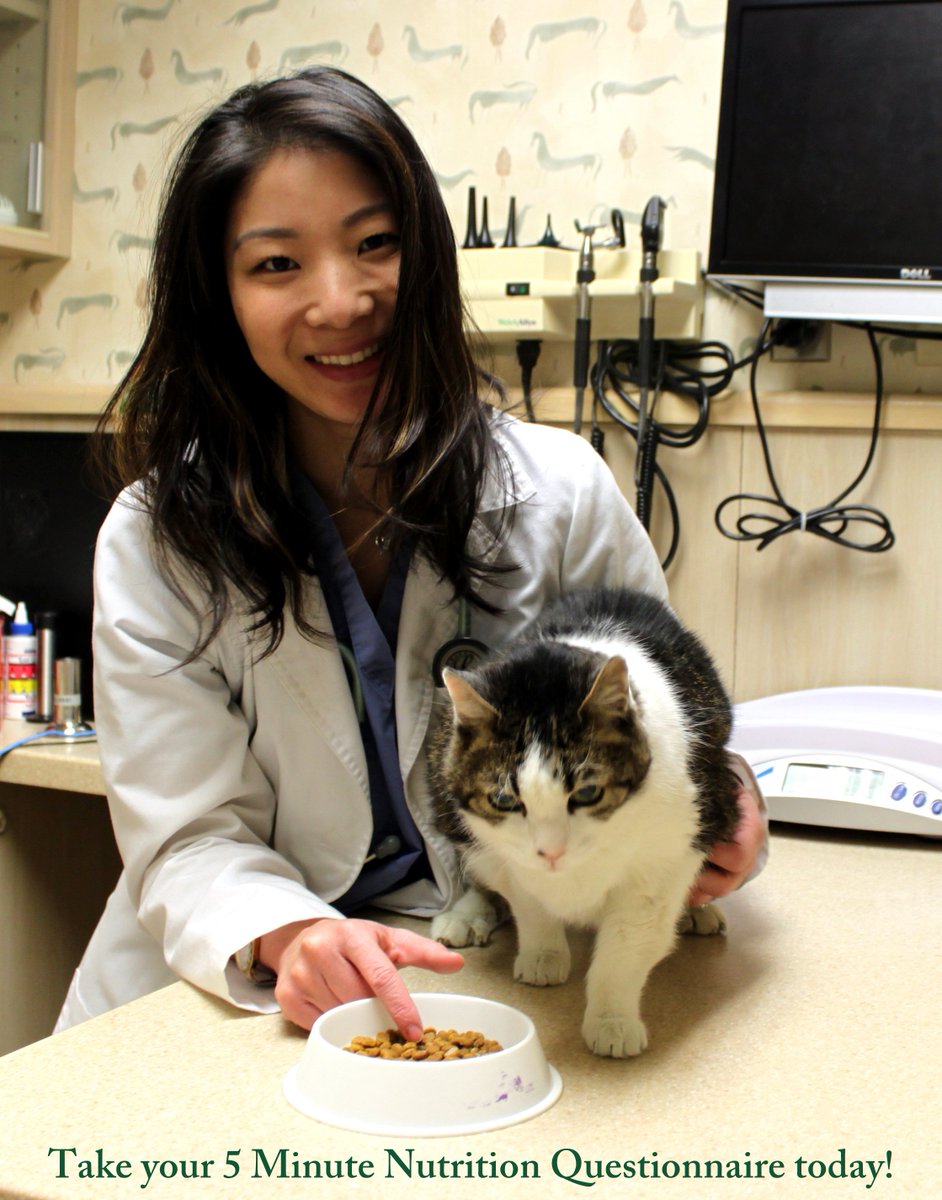 groversimba2's tweet photo. #IVS has a #5minutenutritionalquestionnaire for you. How does your pet's food fit your pet? #veterinarians #fitfood https://t.co/oGO9kodh9q