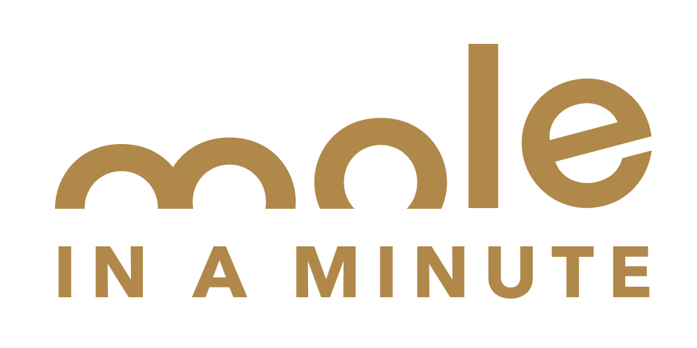 StreativeSnacks's tweet photo. Follow our new sister company @moleinaminute  #insight #strategy #design #cocreation https://t.co/Nc7F52Xp6V