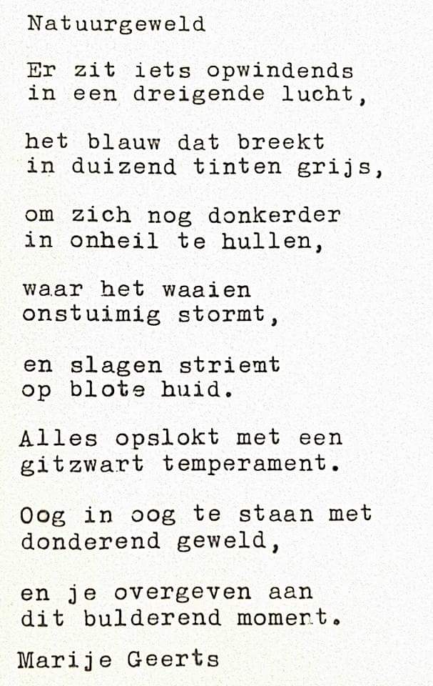 MarijeGeerts's tweet photo. #thoughtry #nr169 #gedicht #poezie #leusden #versje #dichter #typemachine #natuur #storm #lucht #wind #geweld https://t.co/1vB8x3WUmh