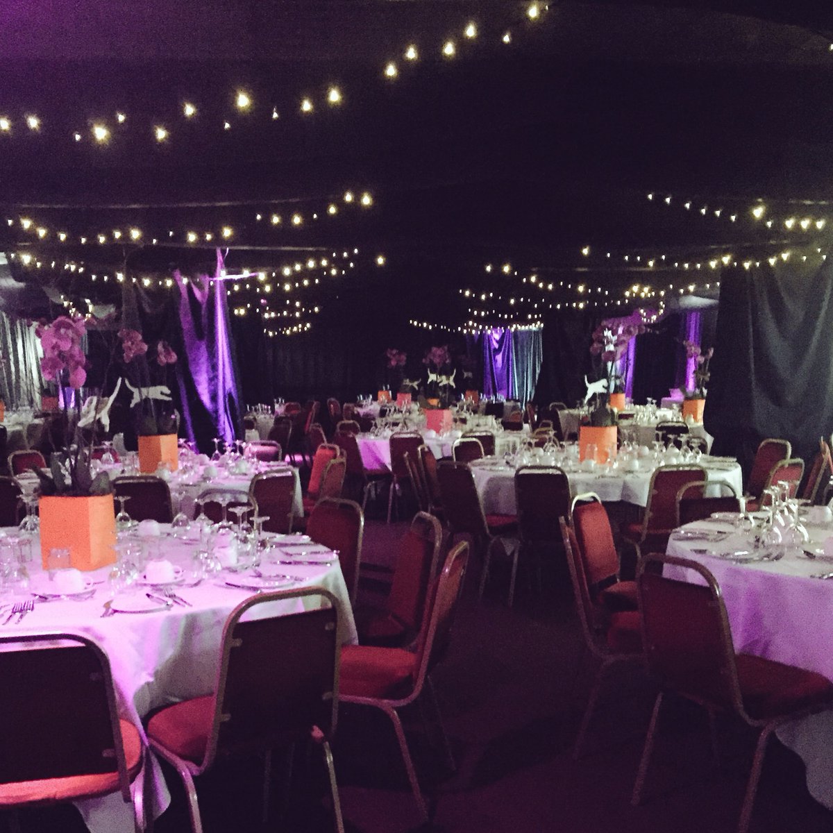 BrightonRace's tweet photo. The Grandstand Hall decked out for a Ball on Saturday... We love twinkly lights! #Event #Brighton #VenueHire #Venue https://t.co/Aw0D2u8Oea