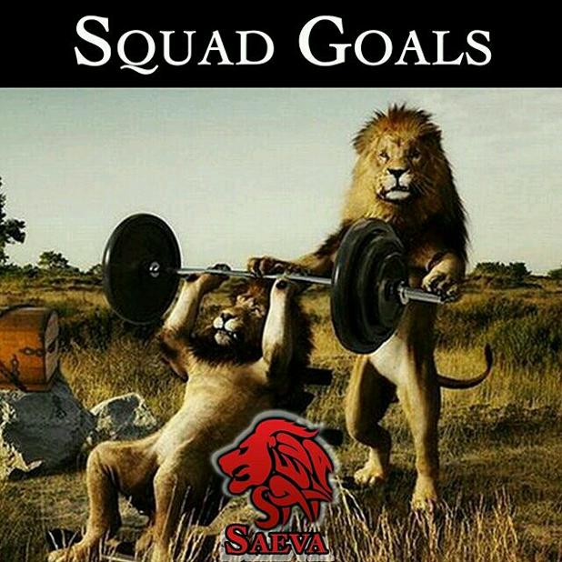 SaevaSupp's tweet photo. Attack weights like they're gazelle. #preworkout #fitfam #nootropics https://t.co/VFaW1D6YEb