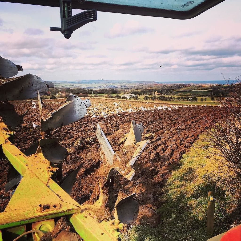 Whit_by's tweet photo. @whit_by by jessicarcass ☀️🚜💨💙⚓️ #whitby #yorkshire #sunny #home #farm #farming #agriculture #masseyferguson #dowde… https://t.co/S3WUr8NB2O
