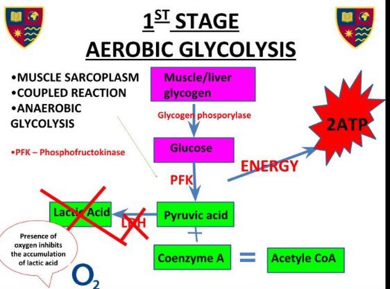 ASCC_PEdept's tweet image. @A2_PE_Student @sophiepeensoll #happyrevising